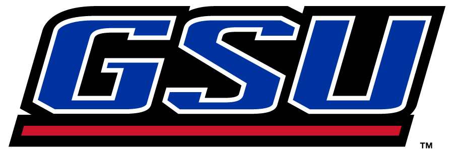 Georgia State Panthers 2009-2012 Wordmark Logo v4 DIY iron on transfer (heat transfer)